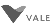 Vale Logo Grey
