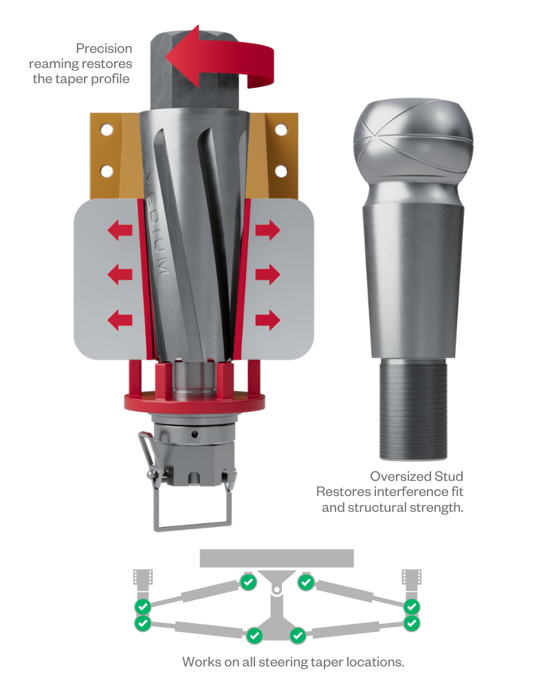 SAY HELLO TO YOUR NEW MATE